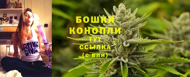 купить  цена  Мурино  Каннабис SATIVA & INDICA 